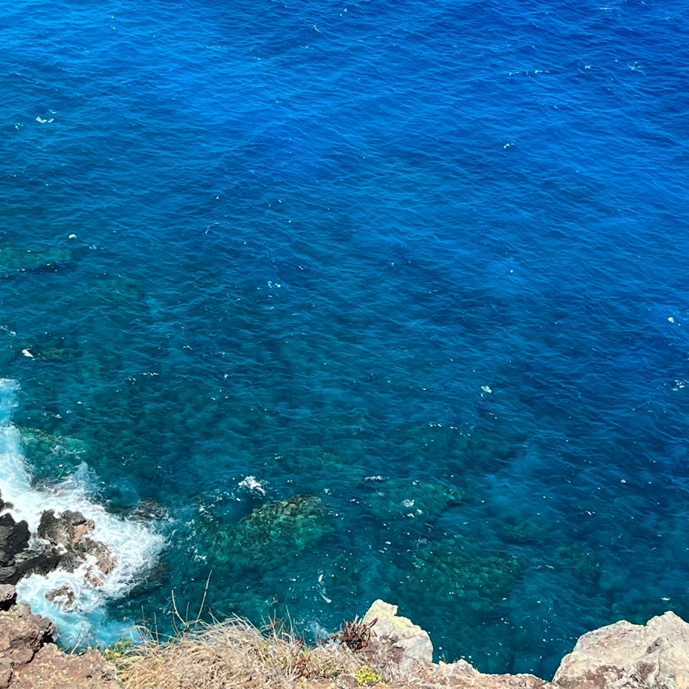 Meet your Posher, Bex